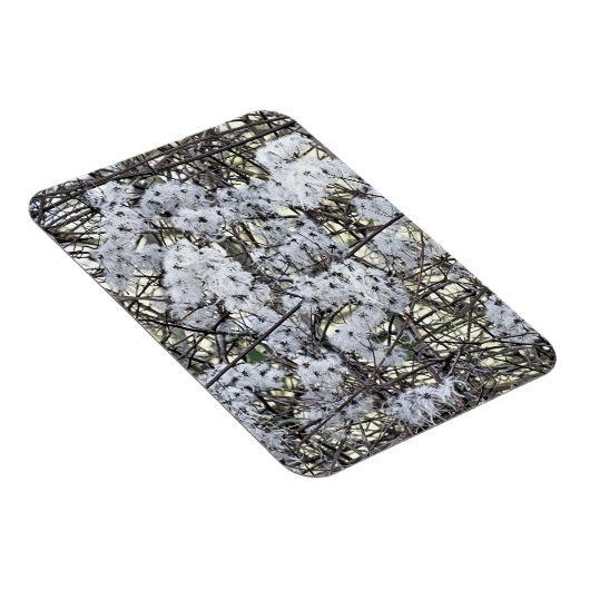 CLEMATIS MAGNET (Rechte Seite)