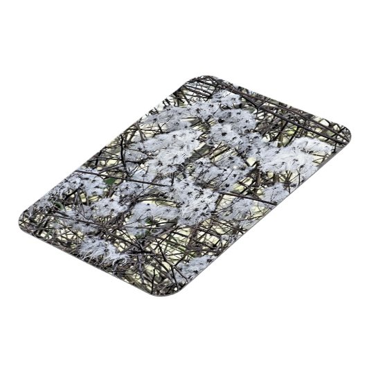 CLEMATIS MAGNET (Linke Seite)