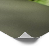 Clematis - Majestät Poster (Ecke)