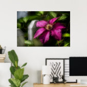 Clematis - Majestät Poster (Heimbüro)
