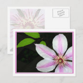 Clematis mit Blätter Postkarte (Vorne/Hinten)
