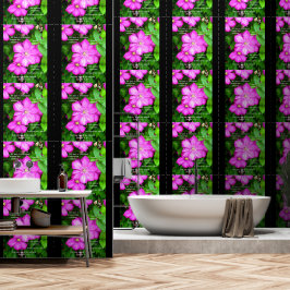 Clematis mit Römern 5:3-5 Tapete