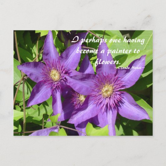 Clematis - Monet Postkarte (Vorderseite)