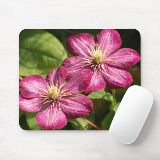 Clematis Mousepad (Mit Mouse)