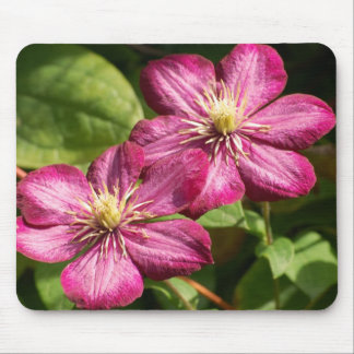 Clematis Mousepad