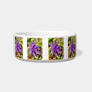 CLEMATIS NAPF