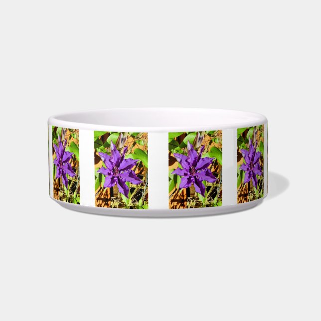 CLEMATIS NAPF (Vorderseite)