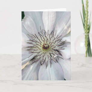 Clematis Naturfotografie Blanko Karte