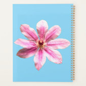 Clematis Nelly Moser Planer (Rückseite)