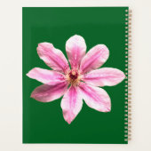 Clematis Nelly Moser Planer (Rückseite)