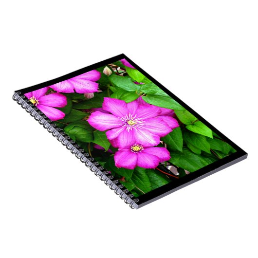 Clematis Notizblock (Rechte Seite)