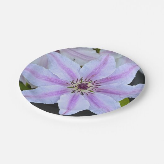 Clematis Papierplatte Pappteller (Schrägansicht)