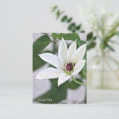 Clematis Patens Postkarte (Stehend Vorderseite)