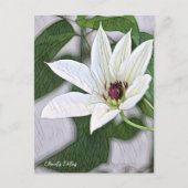 Clematis Patens Postkarte (Vorderseite)