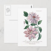 Clematis patens postkarte (Vorne/Hinten)