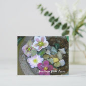 Clematis Postcard Postkarte (Stehend Vorderseite)