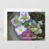 Clematis Postcard Postkarte (Vorne/Hinten)