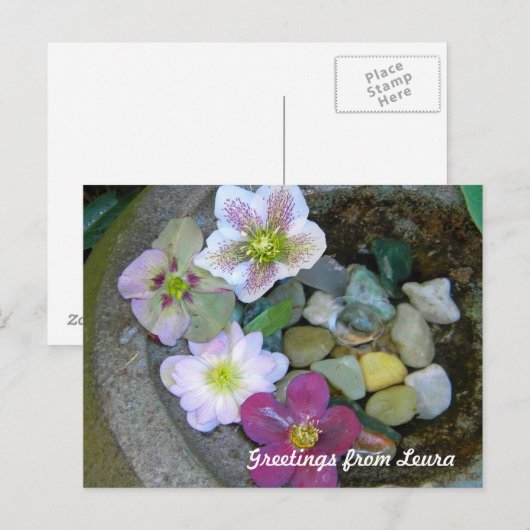 Clematis Postcard Postkarte (Vorne/Hinten)