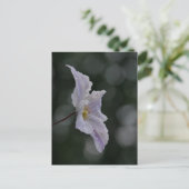 Clematis Postcard Postkarte (Stehend Vorderseite)