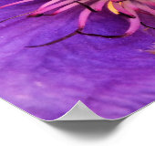 CLEMATIS POSTER (Ecke)