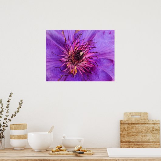 CLEMATIS POSTER (Küche)
