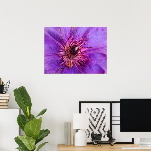 CLEMATIS POSTER (Heimbüro)