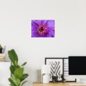 CLEMATIS POSTER (Heimbüro)