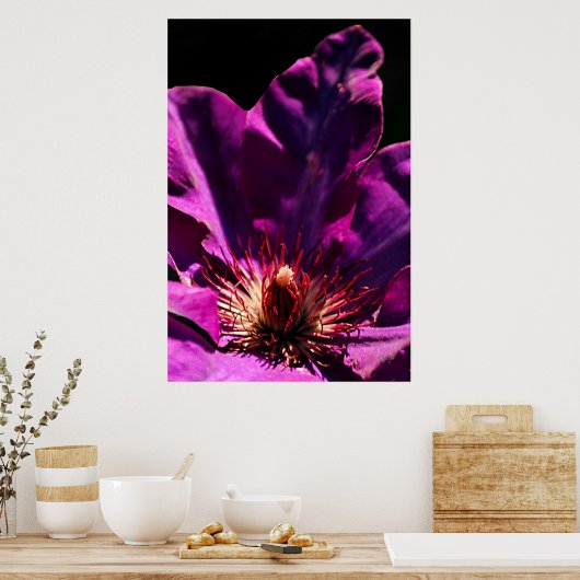 Clematis Poster (Küche)