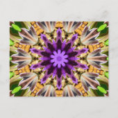 CLEMATIS POSTKARTE (Vorderseite)