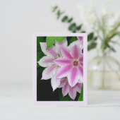 Clematis Postkarte (Stehend Vorderseite)