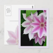 Clematis Postkarte (Vorne/Hinten)