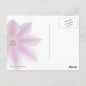 Clematis Postkarte (Rückseite)