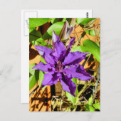 CLEMATIS POSTKARTE (Vorne/Hinten)