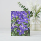 Clematis Postkarte (Stehend Vorderseite)