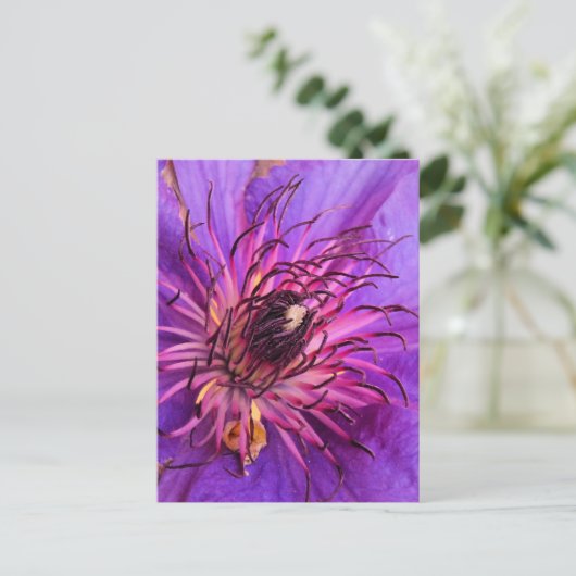 CLEMATIS POSTKARTE (Stehend Vorderseite)