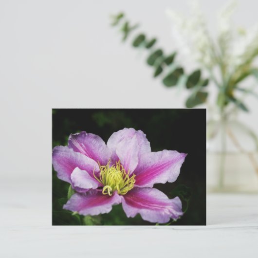 Clematis Postkarte (Stehend Vorderseite)