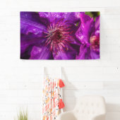 Clematis Präsident Banner (Insitu)
