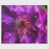 Clematis Präsident Geschenkpapier (Flach)