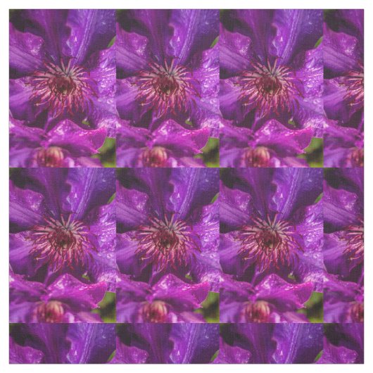 Clematis Präsident Stoff (Muster)
