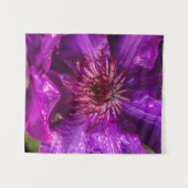 Clematis Präsident Wandteppich (Vorderseite (Horizontal))