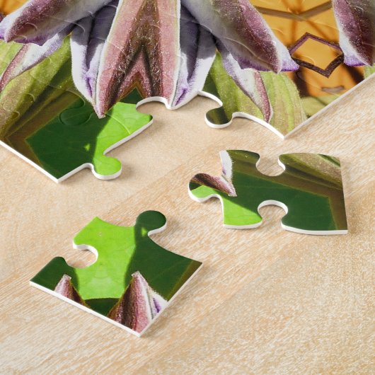 CLEMATIS PUZZLE (Seite)