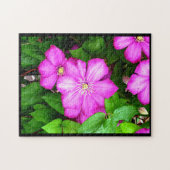 Clematis Puzzle (Horizontal)