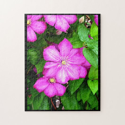 Clematis Puzzle (Vertikal)