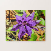 CLEMATIS PUZZLE (Horizontal)