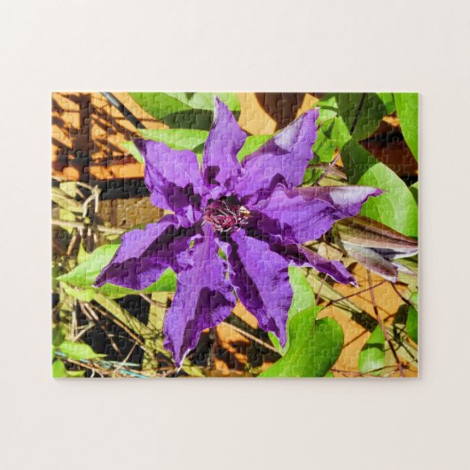 CLEMATIS PUZZLE (Horizontal)