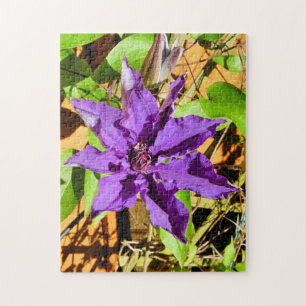 CLEMATIS PUZZLE