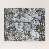 CLEMATIS PUZZLE (Horizontal)