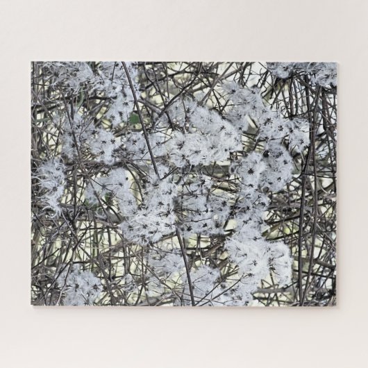 CLEMATIS PUZZLE (Horizontal)