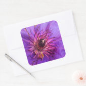CLEMATIS QUADRATISCHER AUFKLEBER (Umschlag)