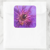 CLEMATIS QUADRATISCHER AUFKLEBER (Tasche)